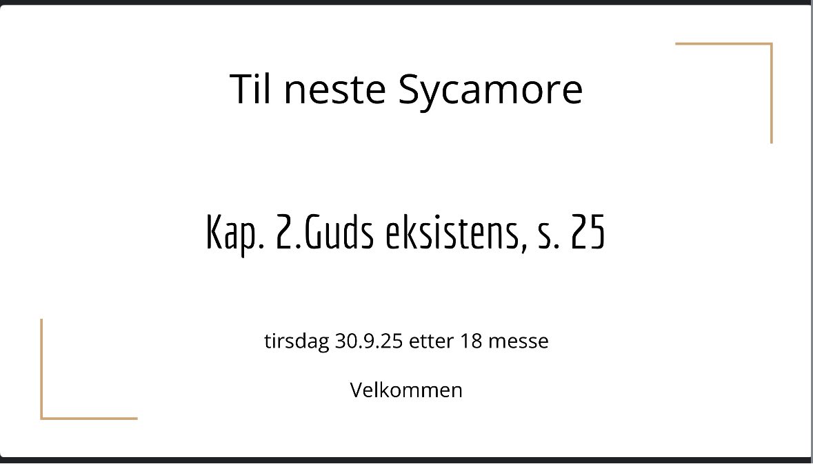Read more about the article Sycamore gruppe – Andre møte