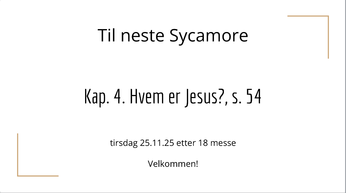 Read more about the article SycamOre Samling